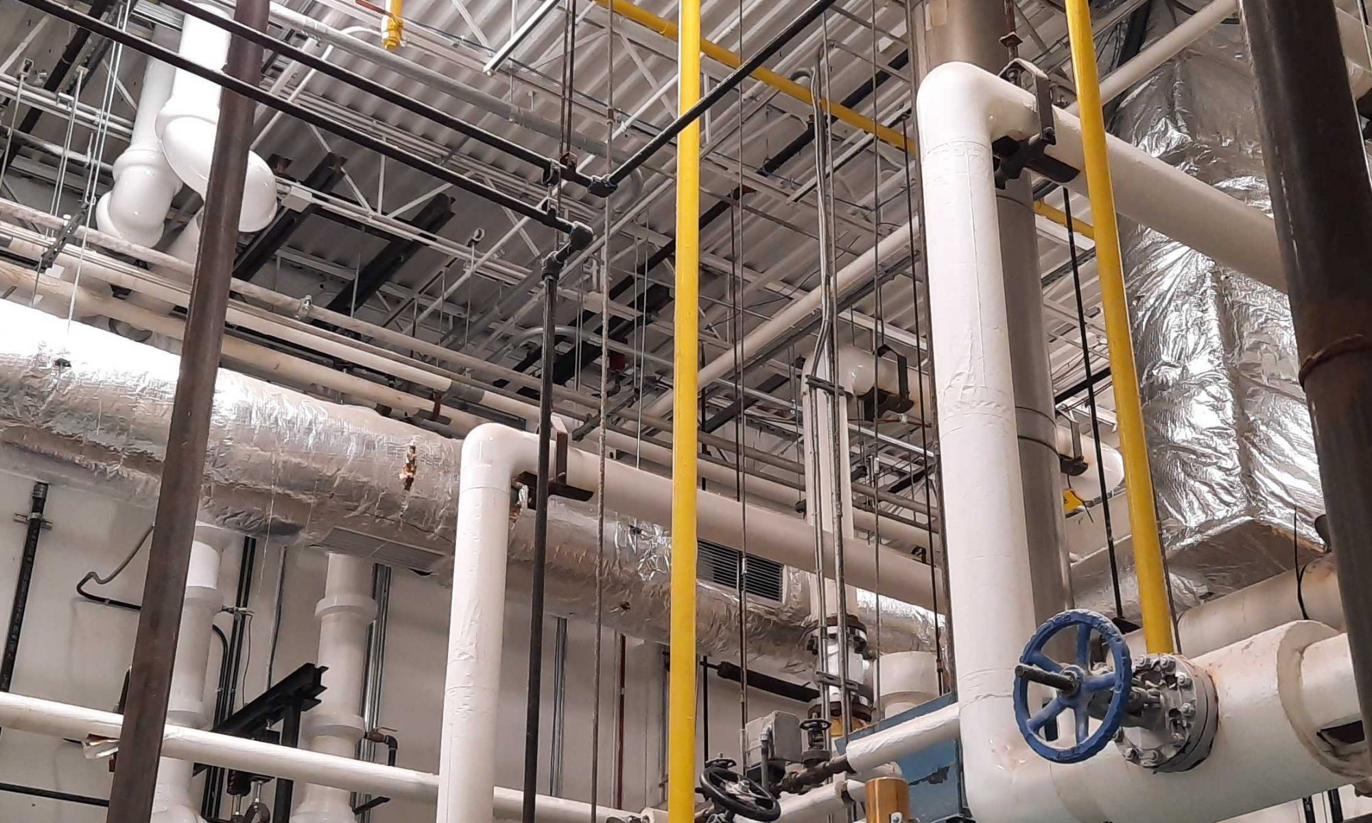 Safety Release Valves