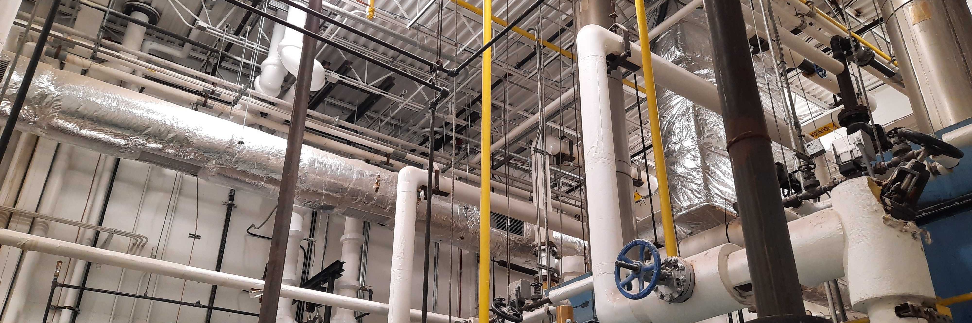 Safety Release Valves